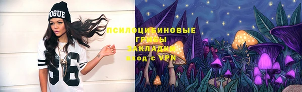 соль ск Алзамай