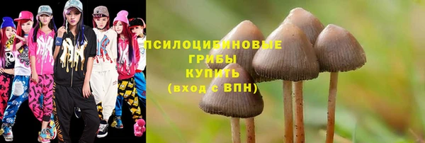 соль ск Алзамай