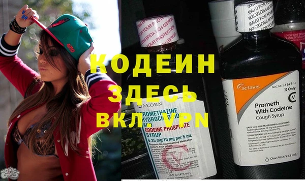 мяу мяу мука Новодвинск