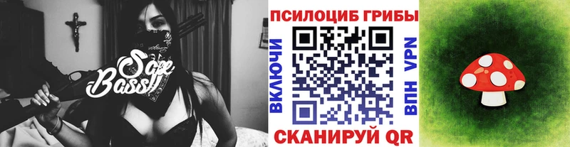 Псилоцибиновые грибы Cubensis Сосновоборск
